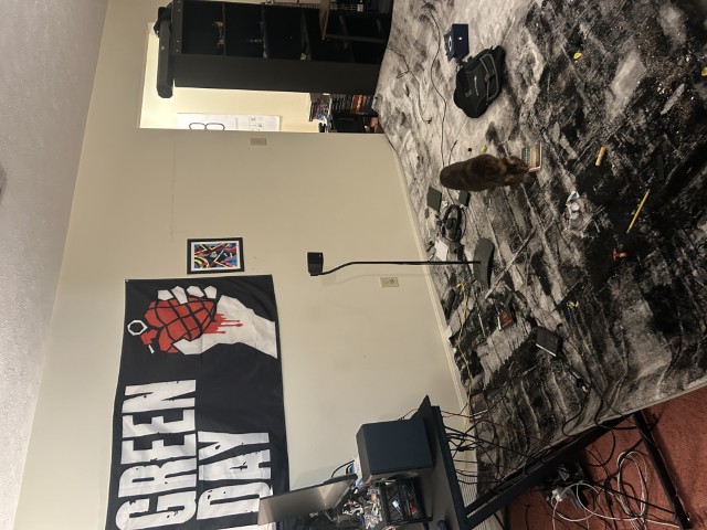 Similar image of Cupcake walking around sniffing.